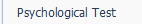 13. Psychological Test
