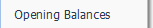 2. Opening Balances
