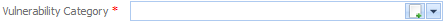 1. Vulnerability Category